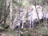 「日本の滝百選」に挙げられる名瀑